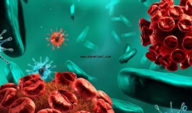 Eşrefpaşa Hastanesi’nden “gizemli hepatite” karşı hijyen uyarısı