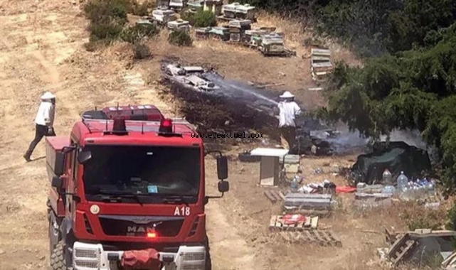 İzmir'de orman yangını