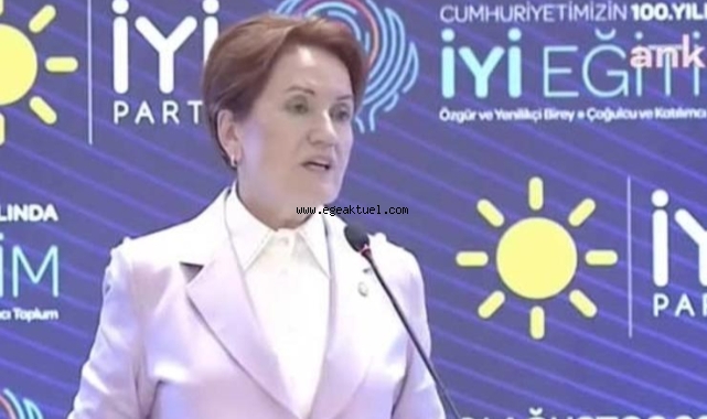 Akşener: Kimse bu kadar ahmak olamaz