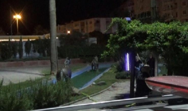 İzmir’de parkta köpek tartışması: Cam şişe ile boğazı kesildi
