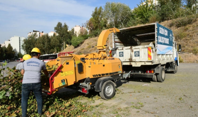 Budanan dallar gübreye dönüşüyor