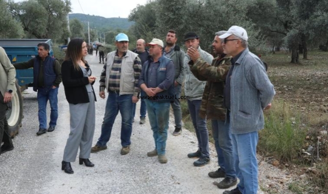Filiz Başkan’dan Büyük Destek: 500 Ton Kompost Gübre Dağıtıldı