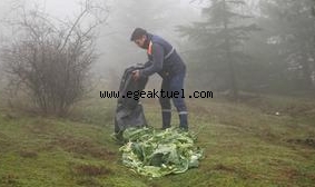 Kemalpaşa’da Can Dostlarımız Unutulmadı