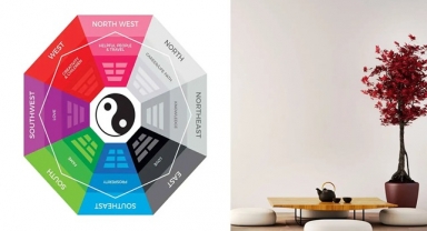 FENG SHUI UZMANI'NDAN 2025 ÖNERİLERİ 