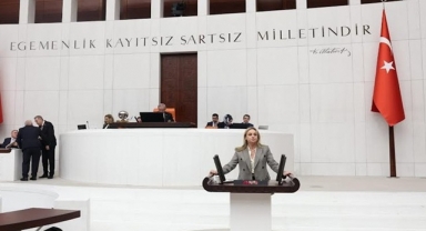 Vekil Ösen Sert Konuştu: 