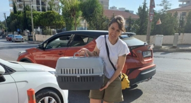 Narlıdere Belediyesi’nden Minik Dostlar İçin Seferberlik