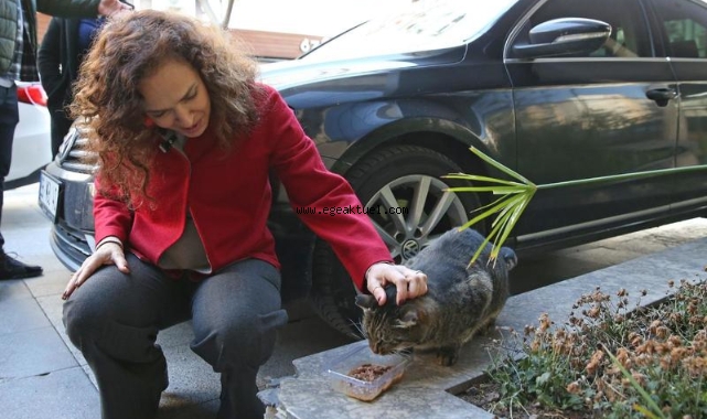 Karşıyaka’da can dostlar için 25 ton mama toplandı