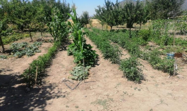 Efes Tarlası Yaşam Köyü’nde Elde Edilen Yerel Tohumlar Anadolu’nun Dört Bir Yanında Filizleniyor
