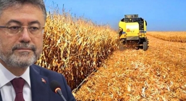 Hibe Desteği Artırıldı