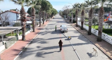 BALDEP Projesi Altınova Sahili’nde Sürüyor