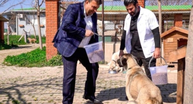 Başkan Yetişkin: “Artık çöpe giden yemekler can dostlarımız için mamaya dönüşüyor”