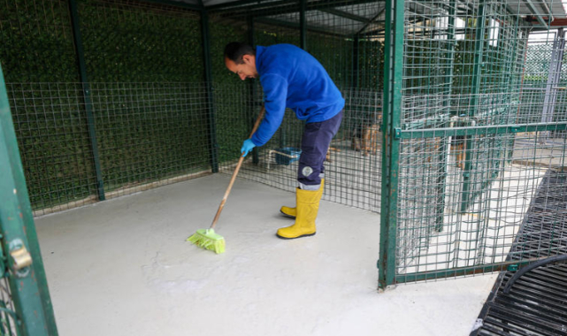 Buca’nın can dostlarına “beş yıldızlı” bakım