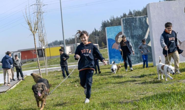 İzmir’de 2 bin 300 patili yuva bekliyor