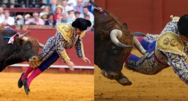 Arenada ölümle burun buruna: Ünlü matador ağır yaralandı