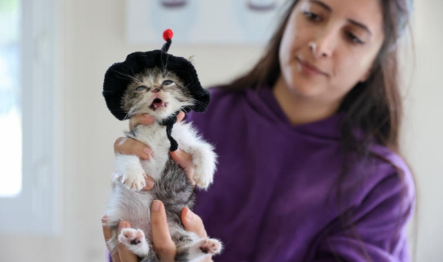 Buca Belediyesi ‘Zero’ için seferber oldu