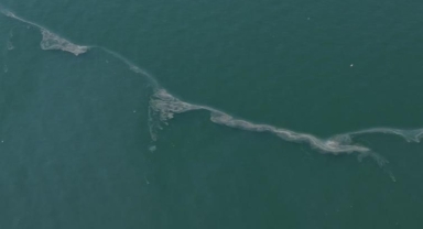 İzmir Körfezi göz göre göre kirletiliyor