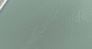 İzmir Körfezi’nde kirlilik alarmı: Aynı tehdit 11. kez görüldü