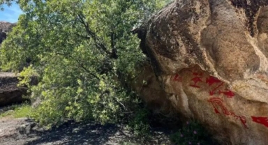 Latmos’ta geri dönülmez tahribat: Binlerce yıllık izler siliniyor