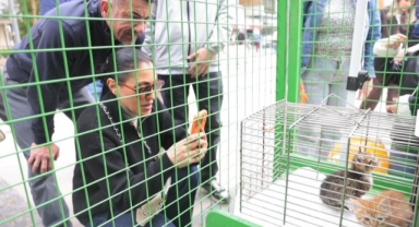 Konak’ta sahiplendirme buluşması: 11 can dost yeni yuvalarına kavuştu