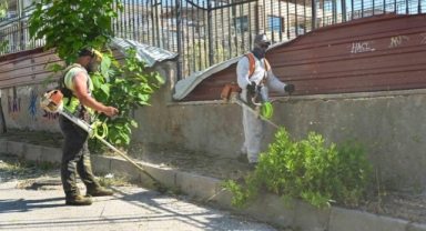 Bornova’da yaz öncesi yangın ve çevre seferberliği