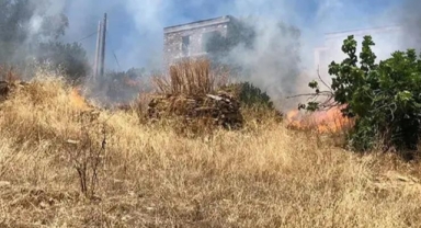 Bodrum'da otluk alanda çıkan yangın, ormana sıçradı