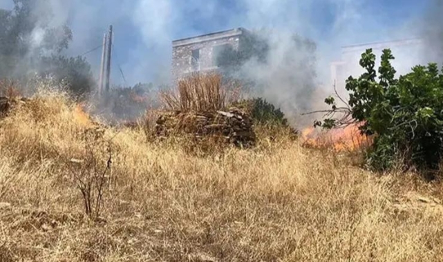 Bodrum'da otluk alanda çıkan yangın, ormana sıçradı