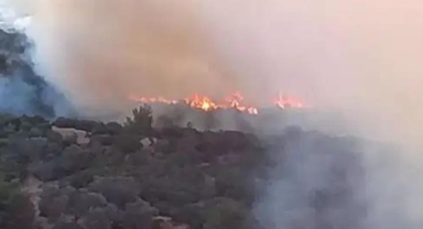 Bornova Homeros Vadisi’nde orman yangını