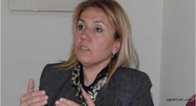 BALIKLIOVA 164 PARSEL BASIN AÇIKLAMASI