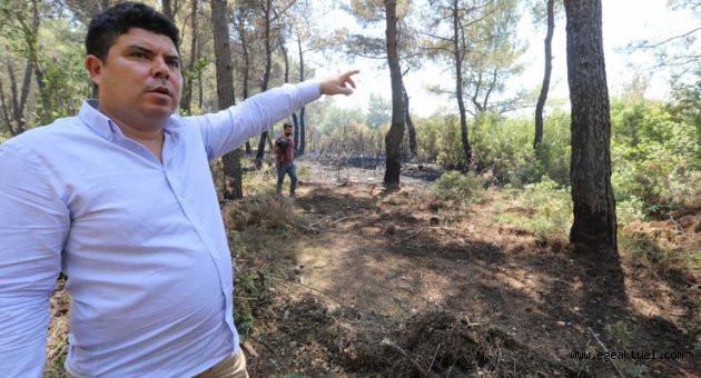 Başkan Kılıç’tan uyarı: Ormanlarımızı yangınlarla heba etmeyelim