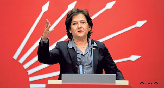 Birgül Ayman Güler'den suçlamalara karşı sert savunma