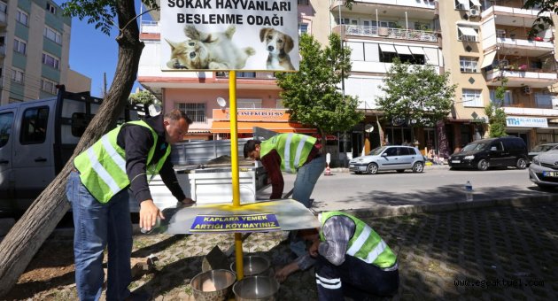Buca’da can dostlarına “sıcak” önlemi
