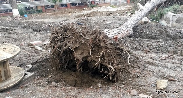 Büyükşehir Seferihisar'daki iddialara yanıt verdi