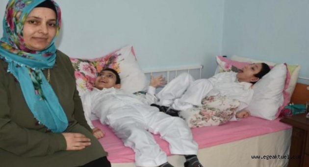 Fedakar anne kendisini engelli oğullarına adadı