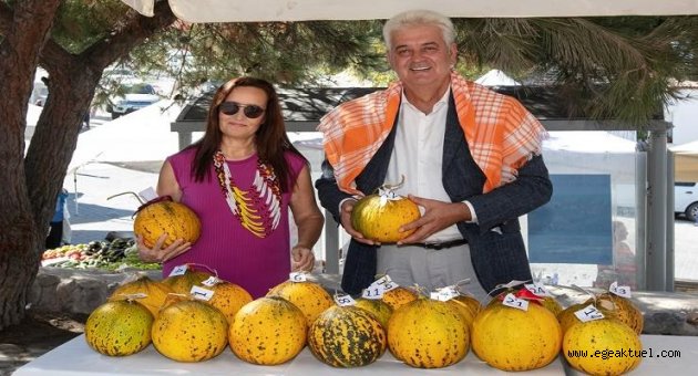 Ovacık güzelleri görücüye çıktı