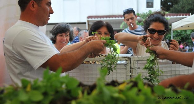 Seferihisar’da 9. Tohum Takas Şenliği Başlıyor