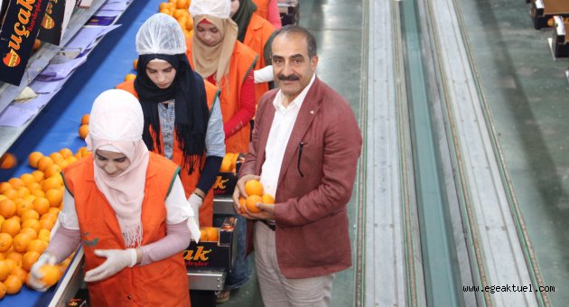 Yaş meyve sebze ve mamulleri ihracatında Kasım ayında tarihi rekor